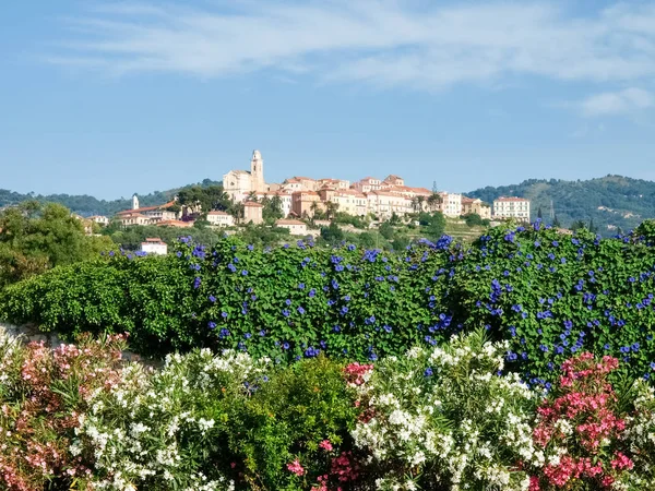 Villaggio collinare circondato da uliveti e vigneti — Foto Stock