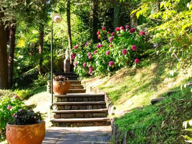 Morcote, Scherrer park