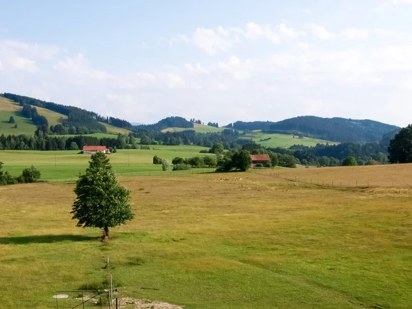 Allgau panorama, montañas y prados verdes — Foto de Stock