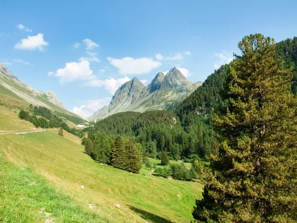 Il percorso panoramico del passo — Foto Stock