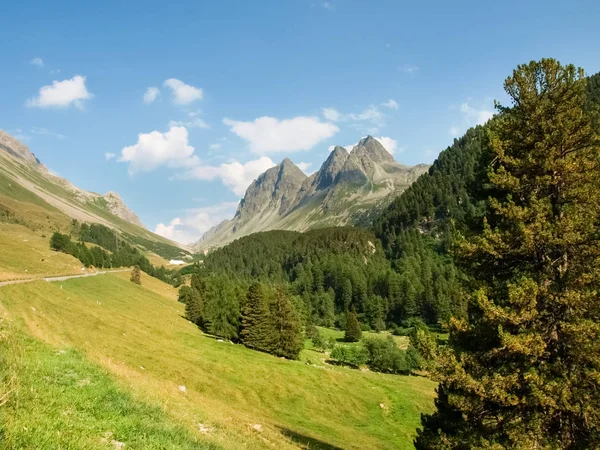 Il percorso panoramico del passo — Foto Stock