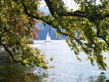 Parco Ciani ve Göl Manzaralı