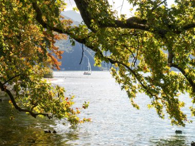 Parco Ciani ve Göl Manzaralı