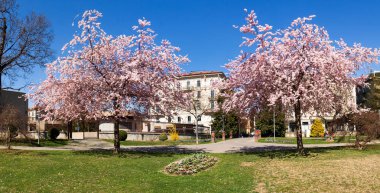 Ciani parkının panoramik görünüm