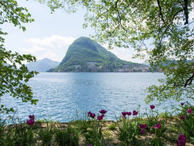 Körfez Lugano ciani Parkı