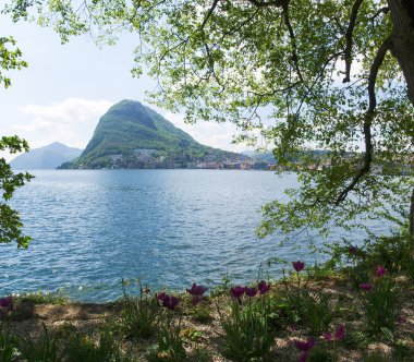 Körfez Lugano ciani Parkı