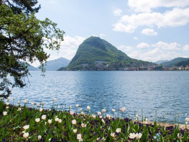 Körfez Lugano ciani Parkı