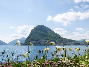 Körfez Lugano ciani Parkı