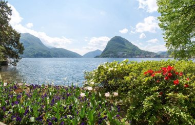 Körfez Lugano ciani Parkı