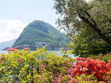 Körfez Lugano ciani Parkı