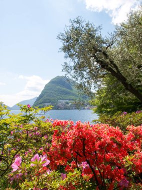 Körfez Lugano ciani Parkı