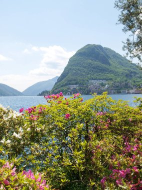 Körfez Lugano ciani Parkı