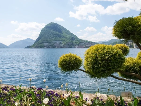 Körfez Lugano ciani Parkı