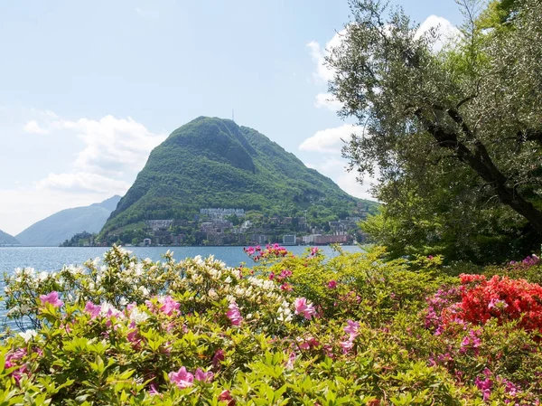 Körfez Lugano ciani Parkı