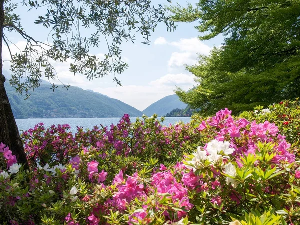 Затока Лугано від ciani парк — стокове фото