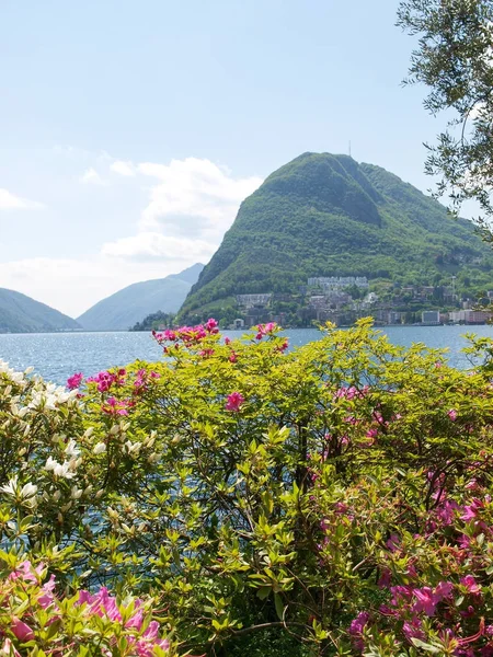 Körfez Lugano ciani Parkı
