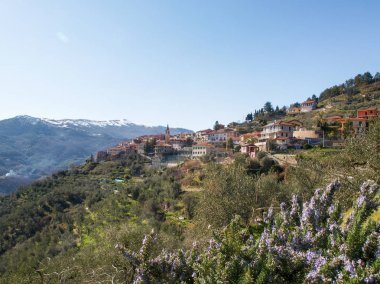 Liguria, Italy - march 18, 2016: the hinterland of the province of Imperia. Views of the bush and the Maritime Alps clipart