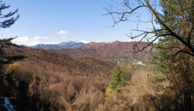 Liguria, İtalya - 18 Mart 2016: hinterland Imperia il. Bush ve Denizcilik Alps