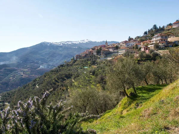 Ligúria Itália Março 2016 Interior Província Imperia Vistas Mato Dos — Fotografia de Stock