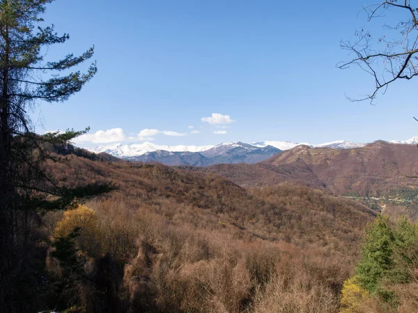 Liguria, İtalya - 18 Mart 2016: hinterland Imperia il. Bush ve Denizcilik Alps