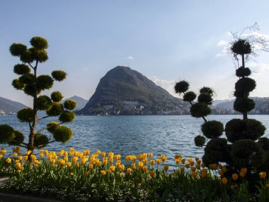 Lugano, İsviçre: Çiçekli Ciani Park ve Lugano Körfez Manzaralı