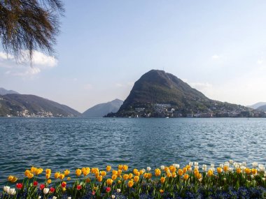 Lugano, İsviçre: Çiçekli Ciani Park ve Lugano Körfez Manzaralı