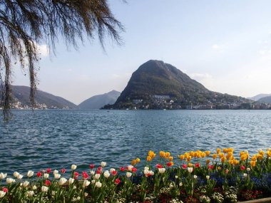 Lugano, İsviçre: Çiçekli Ciani Park ve Lugano Körfez Manzaralı