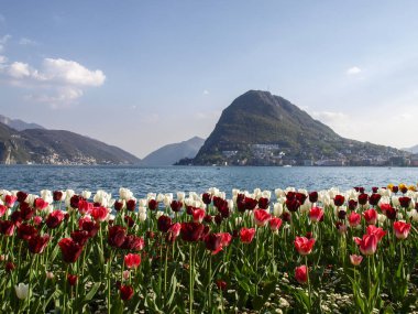 Lugano, İsviçre: Çiçekli Ciani Park ve Lugano Körfez Manzaralı