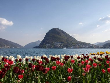 Lugano, İsviçre: Çiçekli Ciani Park ve Lugano Körfez Manzaralı
