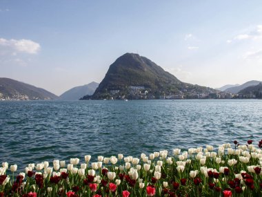 Lugano, İsviçre: Çiçekli Ciani Park ve Lugano Körfez Manzaralı