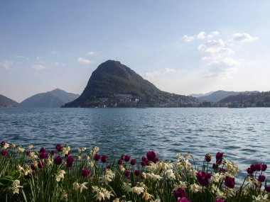 Lugano, İsviçre: Çiçekli Ciani Park ve Lugano Körfez Manzaralı