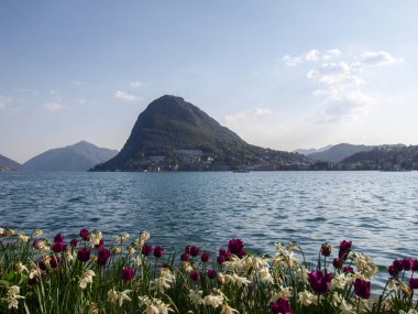 Lugano, İsviçre: Çiçekli Ciani Park ve Lugano Körfez Manzaralı