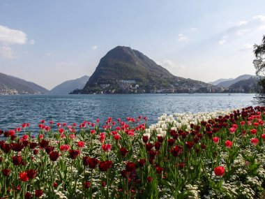 Lugano, İsviçre: Çiçekli Ciani Park ve Lugano Körfez Manzaralı
