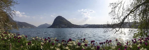 Lugano Svizzera Parco Ciani Fiorito Vista Sul Golfo Lugano — Foto Stock