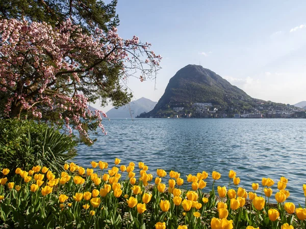 Lugano Suiza Parque Ciani Florecido Vista Del Golfo Lugano — Foto de Stock