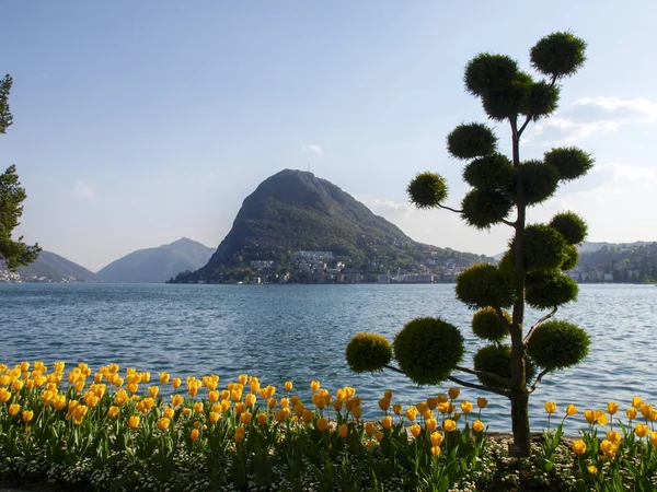 Lugano, İsviçre: Çiçekli Ciani Park ve Lugano Körfez Manzaralı