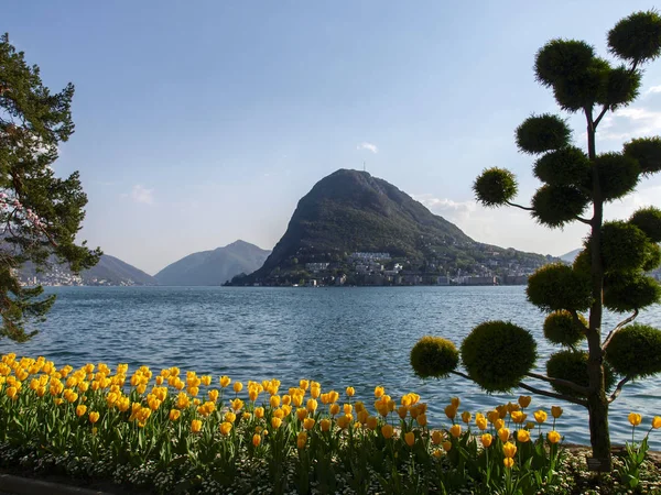 Lugano Suiza Parque Ciani Florecido Vista Del Golfo Lugano —  Fotos de Stock