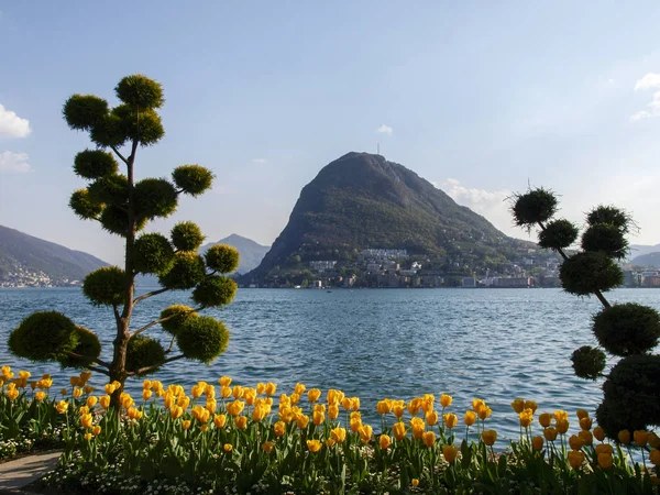 Lugano Schweiz Blomstrande Ciani Park Och Utsikt Över Viken Lugano — Stockfoto