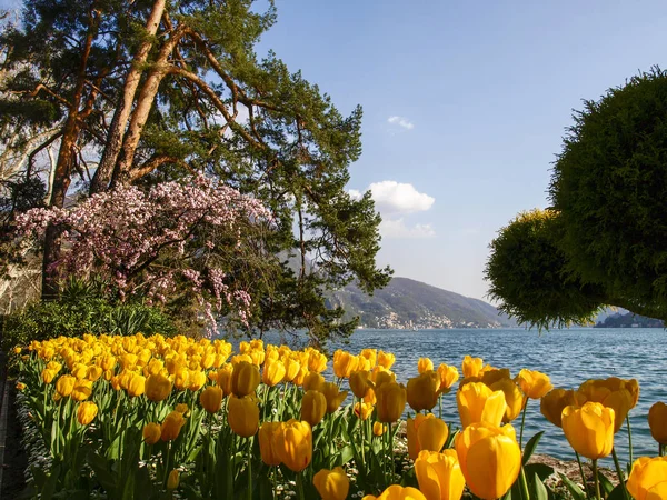 Lugano Suíça Flowered Ciani Park Vista Para Golfo Lugano — Fotografia de Stock