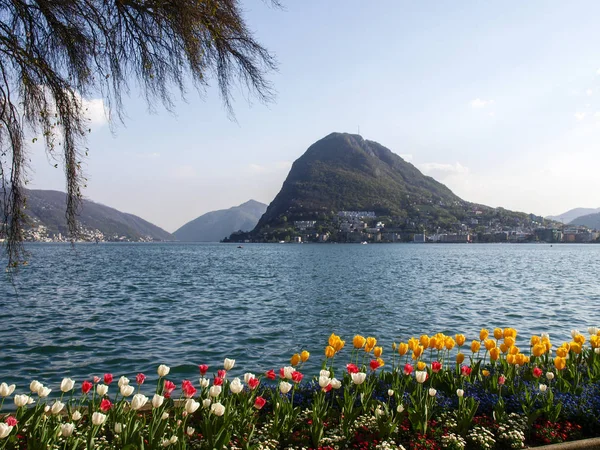 Lugano Szwajcaria Kwiatami Ciani Parku Widok Zatokę Lugano — Zdjęcie stockowe