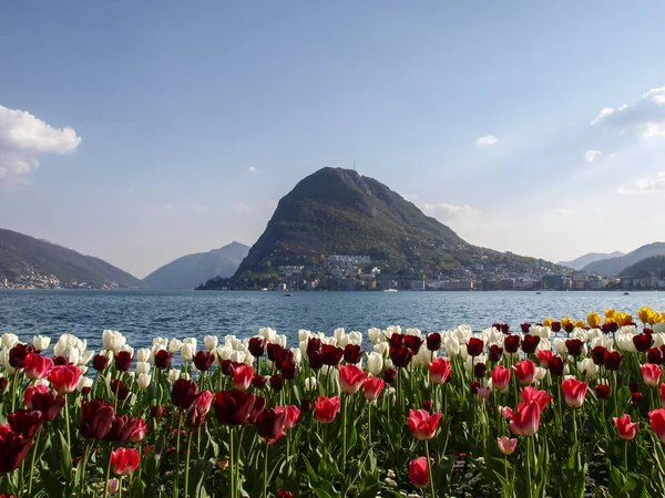 Lugano Suiza Parque Ciani Florecido Vista Del Golfo Lugano — Foto de Stock