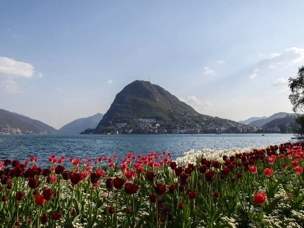 Lugano Suíça Flowered Ciani Park Vista Para Golfo Lugano — Fotografia de Stock