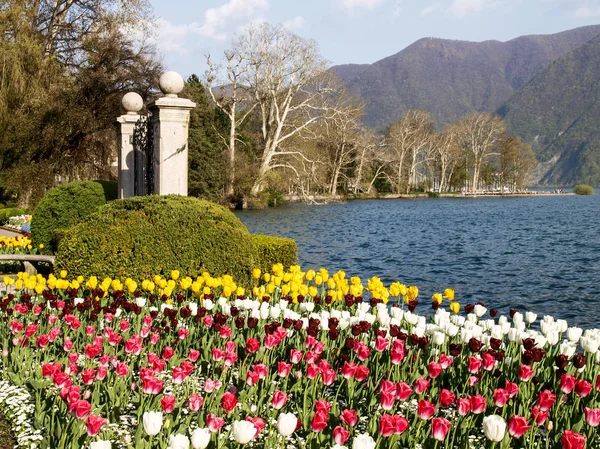 Lugano Zwitserland Bloemrijke Ciani Park Uitzicht Golf Van Lugano — Stockfoto