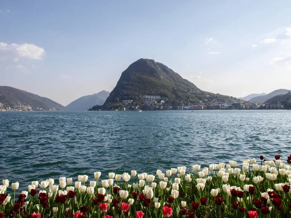 Lugano Szwajcaria Kwiatami Ciani Parku Widok Zatokę Lugano — Zdjęcie stockowe