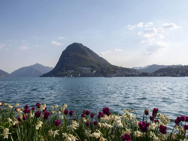 Lugano Sviçre Çiçekli Ciani Park Lugano Körfez Manzaralı — Stok fotoğraf