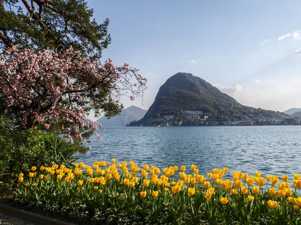 ルガーノ スイス連邦共和国 花チャーニ市立公園 ルガーノ湾の展望 — ストック写真