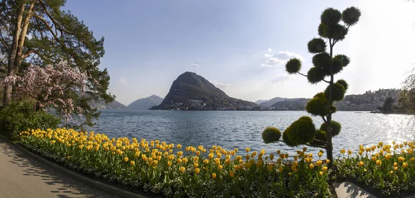 Lugano Schweiz Blühender Ciani Park Und Blick Auf Den Golf — Stockfoto