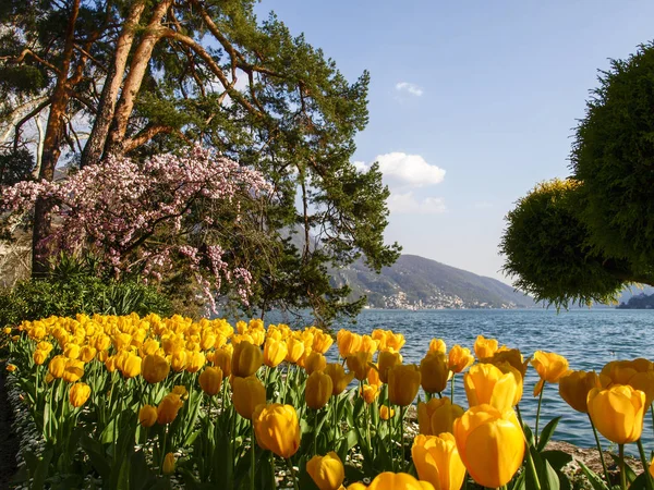 ルガーノ スイス連邦共和国 花チャーニ市立公園 ルガーノ湾の展望 — ストック写真