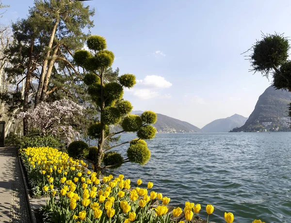 Lugano Svizzera Parco Ciani Fiorito Vista Sul Golfo Lugano — Foto Stock