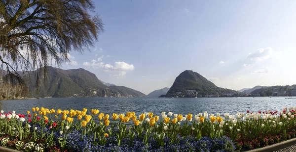 Lugano Sviçre Çiçekli Ciani Park Lugano Körfez Manzaralı — Stok fotoğraf